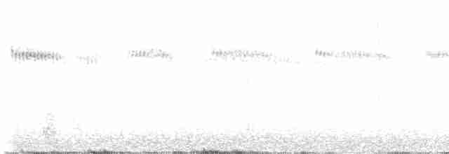 Широкохвостый колибри - ML618391682