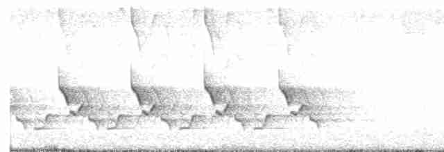 Каролинский крапивник [группа ludovicianus] - ML618392037