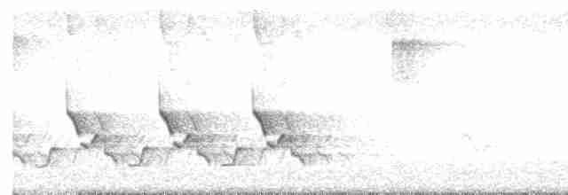 Каролинский крапивник [группа ludovicianus] - ML618392068