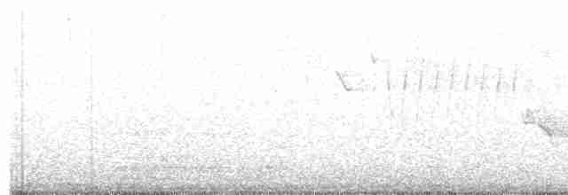White-eyed Vireo - ML618392140