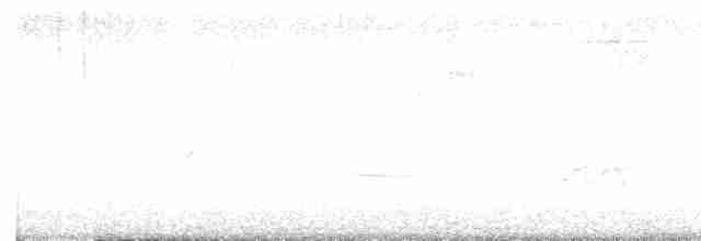 Weißbrustkleiber - ML618392188