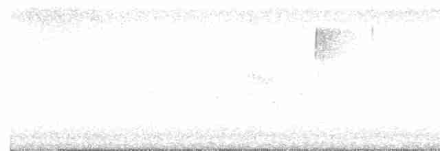 Weißbrustkleiber - ML618392358