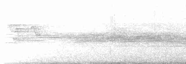 Montezuma Oropendulası - ML618393841
