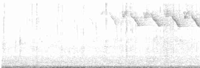lesňáček černobílý - ML618393973