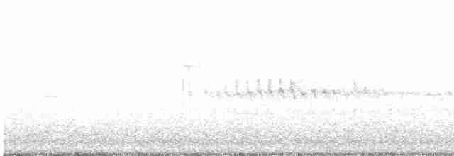 Haarspecht [villosus-Gruppe] - ML618394137