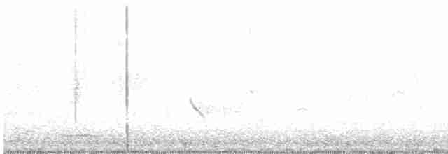 Balık Kartalı (carolinensis) - ML618394340