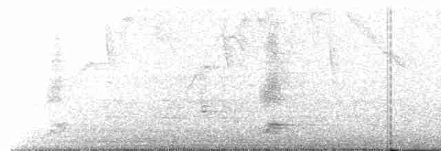 Black-crowned Night Heron - ML618394393
