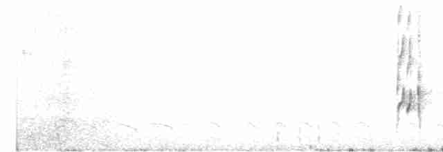 Серогрудый трескунчик - ML618394911