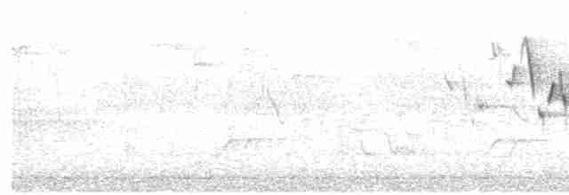 Тихоокеанский крапивник - ML618395284