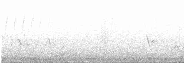Черноголовый толстонос - ML618395312