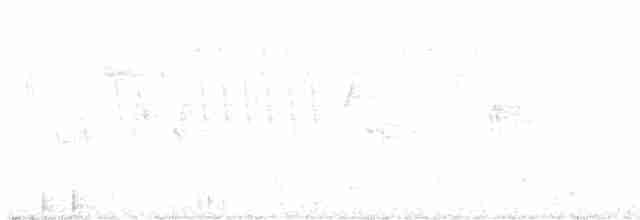Troglodyte de Baird - ML618397130