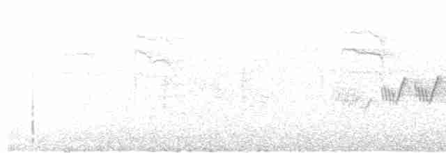 Cerulean Warbler - ML618397913