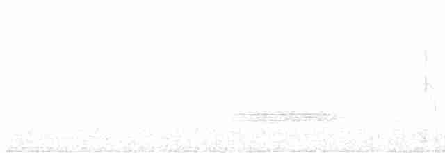 Turuncu Ardıç - ML618398231