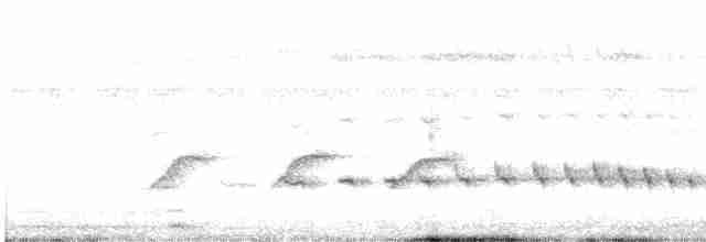 Pygmy Antwren - ML618398360