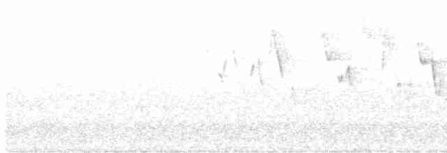 Troglodyte de Baird - ML618398475