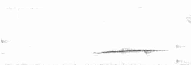 Eastern Striolated-Puffbird (torridus) - ML618398749