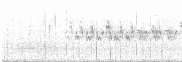 Black-throated Gray Warbler - ML618399066