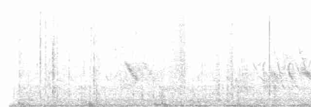 Büyük Mor Kırlangıç - ML618399159