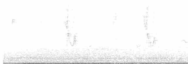 Yellow-rumped Warbler - ML618399234