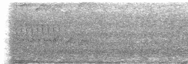 Kestane Karınlı Bülbül Tiranı - ML618401420