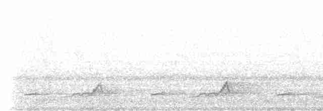 Schwarzkehl-Nachtschwalbe - ML618402575