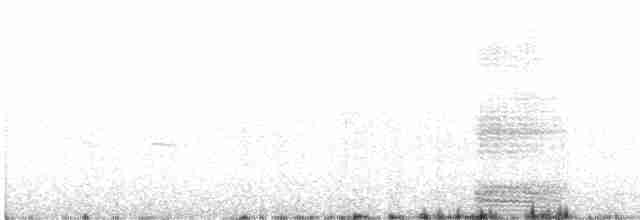 Белый ибис - ML618403081