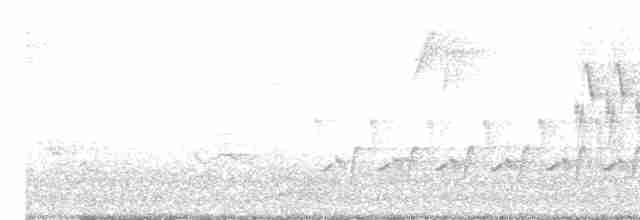 Kara Gözlü Junko (hyemalis/carolinensis) - ML618403447