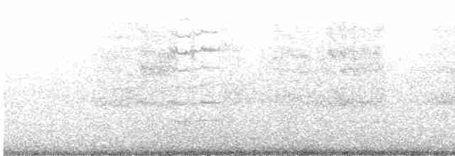 Loggerhead Shrike - ML618404377