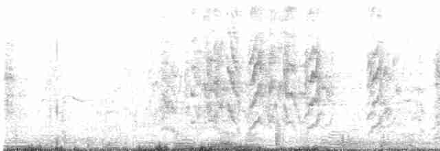 mníšek šedý (ssp. luchsi) - ML618404571