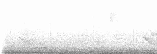 Бурый соловьиный дрозд - ML618405027