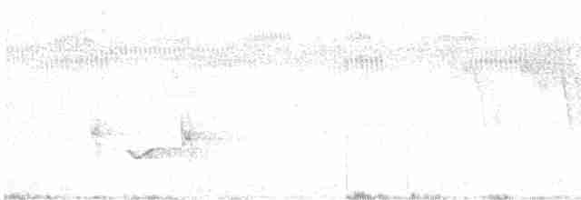 Rotspottdrossel - ML618405115