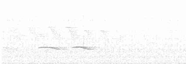 Ak Tepeli Baştankara - ML618405670