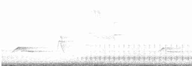 strakapoud osikový - ML618406592