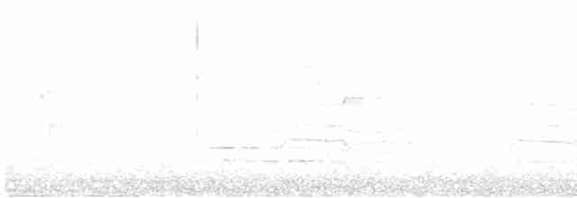 Трясогузковый певун - ML618407930