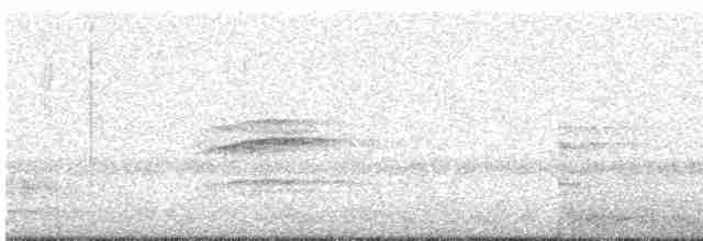 Дрізд-короткодзьоб плямистоволий - ML618408061