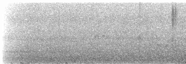 Фиолетовобрюхий колибри - ML618409238