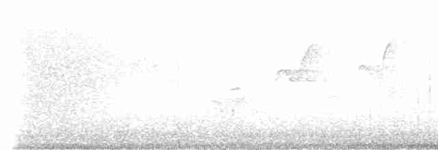 Black-throated Gray Warbler - ML618409436