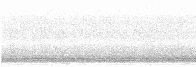 Common Gallinule - ML618410023
