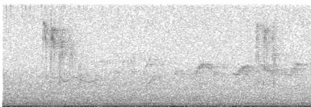 hvitskjegglattertrost - ML618410914
