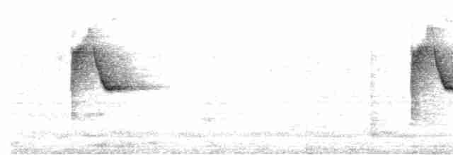 Kurriçeyn Ardıcı - ML618411315