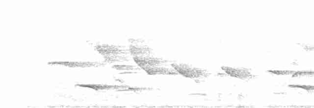 Аистоклювый гуриал - ML618411325