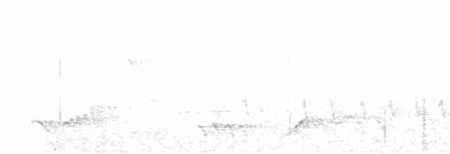 Shama à croupion blanc - ML618411357