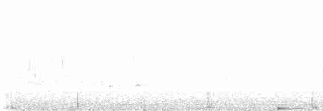 Шишкар ялиновий - ML618411650