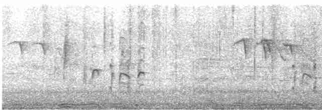 斑文鳥 - ML618412040