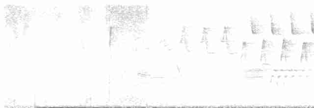 Paruline à calotte noire - ML618412781
