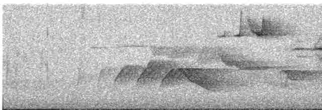 Снежнобровая мухоловка - ML618413188