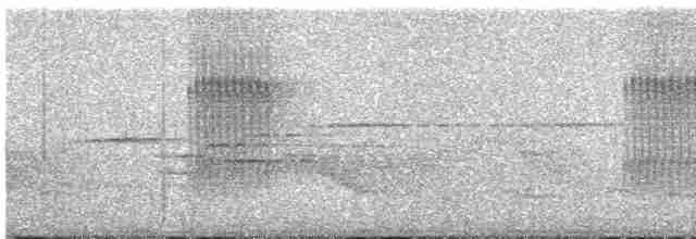 Белоухая сибия - ML618413336