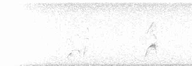 rorýs bělokrký - ML618413695