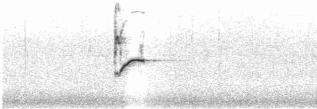 Ошейниковая нектарница - ML618414132
