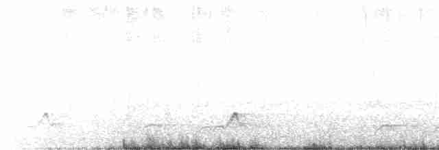 Schwarzkehl-Nachtschwalbe - ML618414357